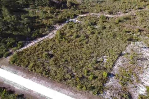 Land in Indian lake estates, Florida № 2165925 - photo 3