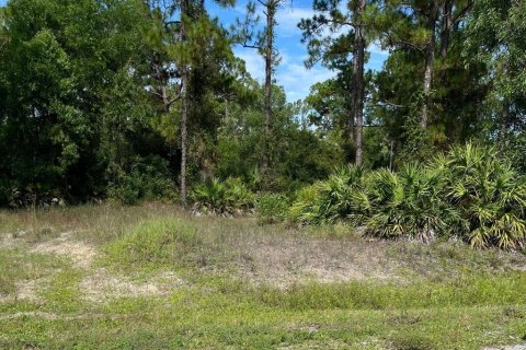 Land in Lehigh Acres, Florida № 2373871 - photo 6