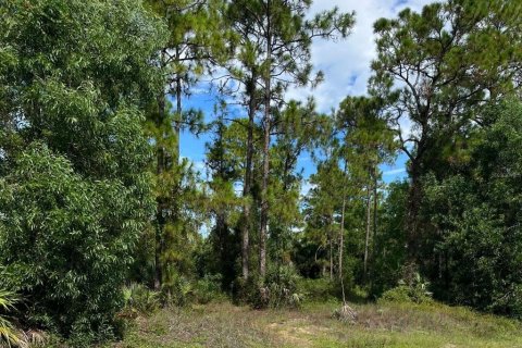 Land in Lehigh Acres, Florida № 2373871 - photo 7