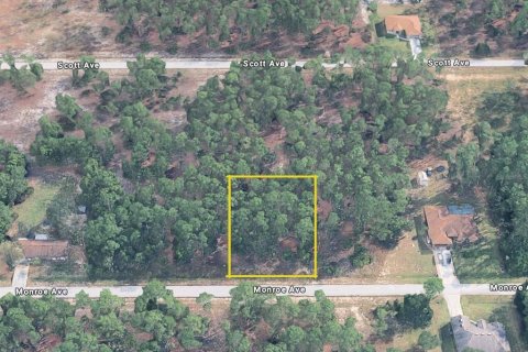 Land in Lehigh Acres, Florida № 2373871 - photo 11