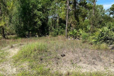 Land in Lehigh Acres, Florida № 2373871