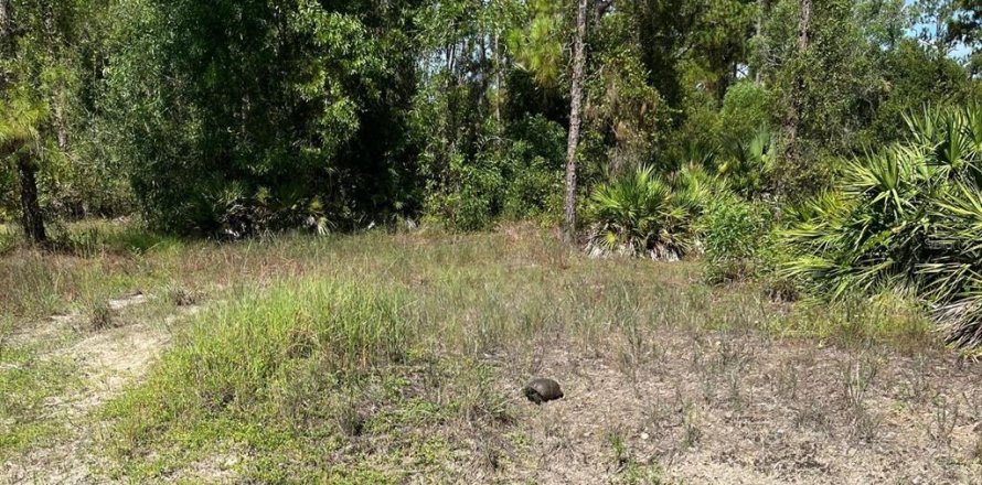 Land in Lehigh Acres, Florida № 2373871