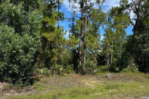 Land in Lehigh Acres, Florida № 2373871 - photo 5