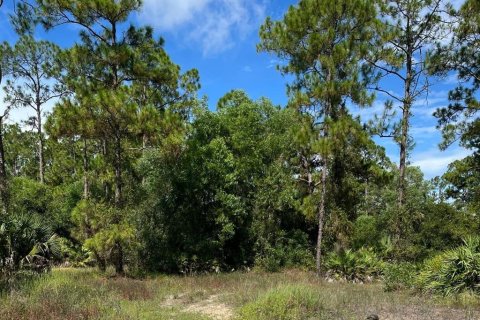 Land in Lehigh Acres, Florida № 2373871 - photo 4