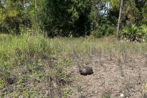 Land in Lehigh Acres, Florida № 2373871 - photo 2