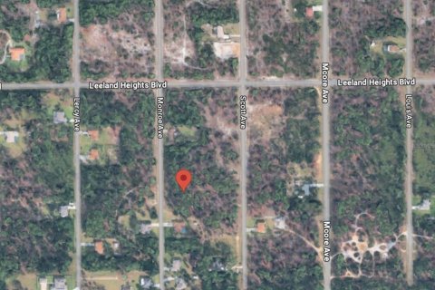 Land in Lehigh Acres, Florida № 2373871 - photo 10