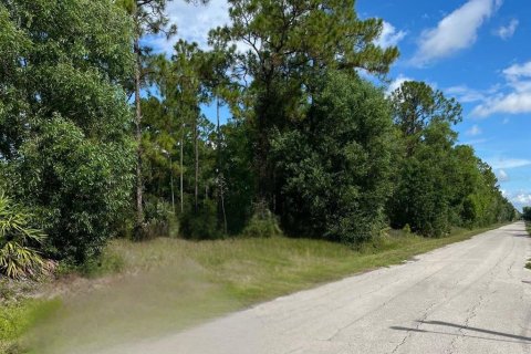 Land in Lehigh Acres, Florida № 2373871 - photo 8