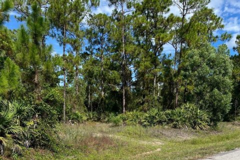 Land in Lehigh Acres, Florida № 2373871 - photo 3
