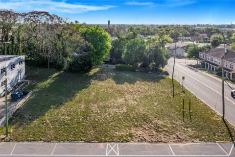 Land in Haines City, Florida № 1081760 - photo 8