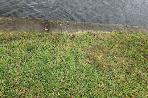 Terreno en venta en Port Charlotte, Florida № 1561416 - foto 3