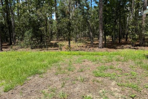 Casa en alquiler en Ocala, Florida, 3 dormitorios, 122.72 m2 № 1913999 - foto 11