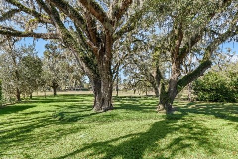 Casa en venta en Ocala, Florida, 4 dormitorios, 432.65 m2 № 1902607 - foto 3