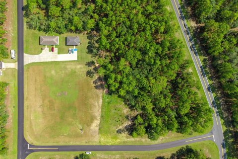 Terrain à vendre à Ocala, Floride № 1875928 - photo 4