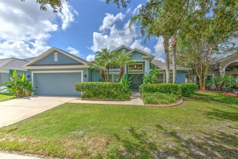 House in Fish Hawk, Florida 4 bedrooms, 241.36 sq.m. № 2366975