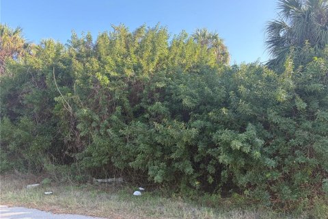 Land in Port Charlotte, Florida № 2228636 - photo 2