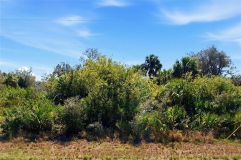 Terreno en venta en Port Charlotte, Florida № 2145147 - foto 9