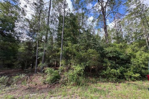 Land in Dunnellon, Florida № 2161030 - photo 6