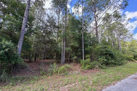 Land in Dunnellon, Florida № 2161030 - photo 7