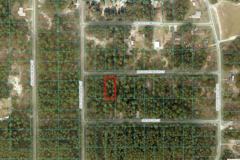 Land in Dunnellon, Florida № 2161030 - photo 3