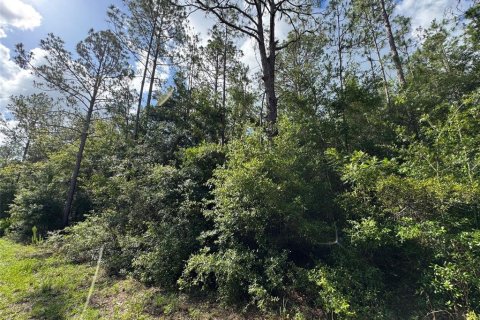 Land in Dunnellon, Florida № 2161030 - photo 5