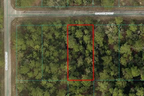 Land in Dunnellon, Florida № 2161030 - photo 2
