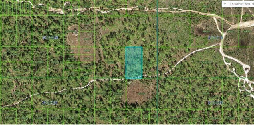 Terreno en Frostproof, Florida № 2160605