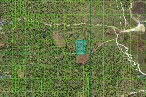 Terreno en venta en Frostproof, Florida № 2160605 - foto 3