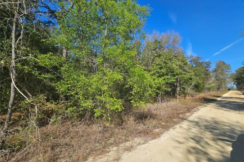Land in Williston, Florida № 2161009