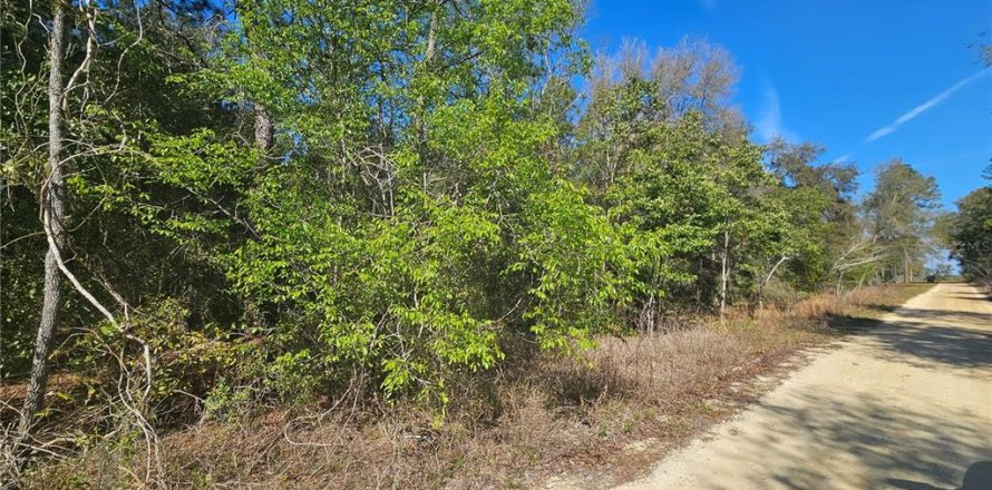 Land in Williston, Florida № 2161009
