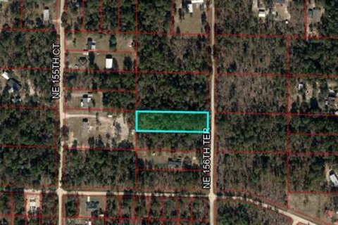 Land in Williston, Florida № 2161009 - photo 2