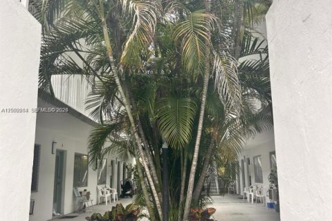 Studio in the Condo in Miami Beach, Florida  № 2067725