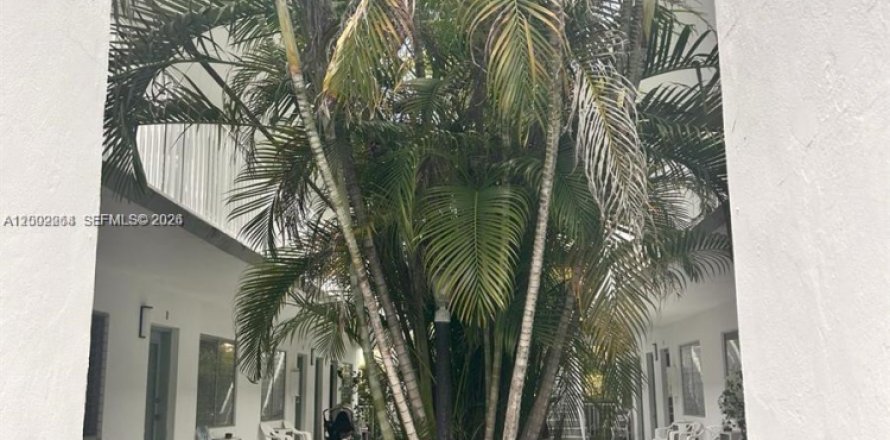 Studio in the Condo in Miami Beach, Florida  № 2067725