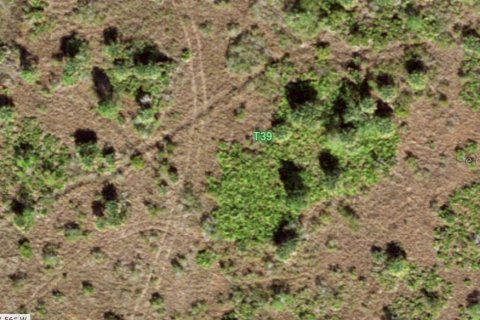 Land in Punta Gorda, Florida № 1670200 - photo 4