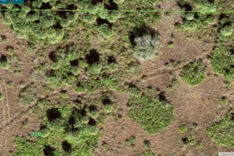 Land in Punta Gorda, Florida № 1670200 - photo 5