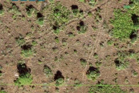 Land in Punta Gorda, Florida № 1670200 - photo 7