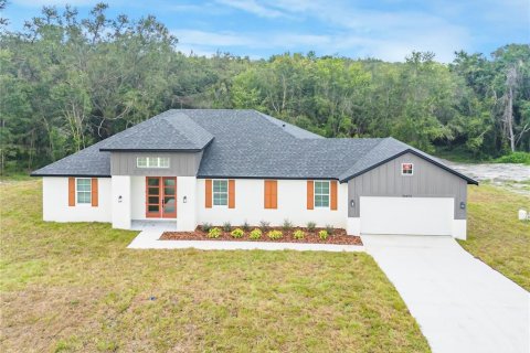 Villa ou maison à vendre à Fruitland Park, Floride: 3 chambres, 185.8 m2 № 1901338 - photo 1