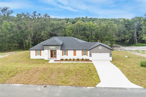 Casa en venta en Fruitland Park, Florida, 3 dormitorios, 185.8 m2 № 1901338 - foto 2