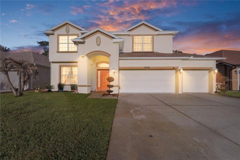 Villa ou maison à Land O' Lakes, Floride 5 chambres, 236.9 m2 № 2141917
