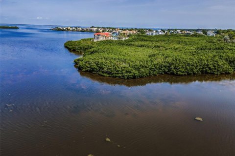 Купить виллу или дом в Тарпон-Спрингс, Флорида 10 комнат, 231.88м2, № 2152202 - фото 11