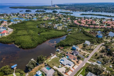 Купить виллу или дом в Тарпон-Спрингс, Флорида 10 комнат, 231.88м2, № 2152202 - фото 9