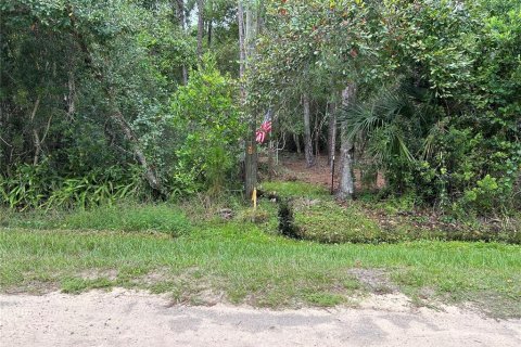 Terreno en venta en Lake Wales, Florida № 791604 - foto 3