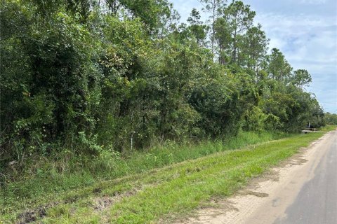 Terreno en venta en Lake Wales, Florida № 791604 - foto 1