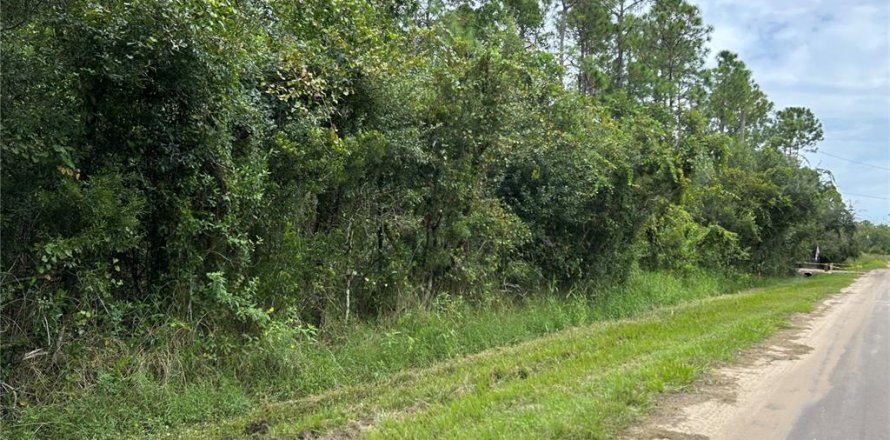 Terreno en Lake Wales, Florida № 791604
