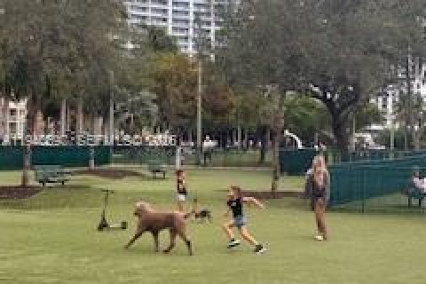 Condominio en venta en Miami, Florida, 2 dormitorios, 97.36 m2 № 2000752 - foto 10