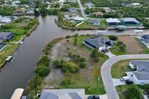 Land in Port Charlotte, Florida № 2155420 - photo 9