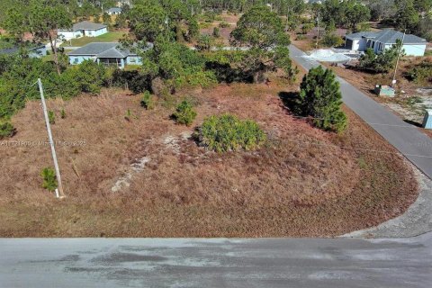 Land in Lehigh Acres, Florida № 2164296 - photo 4