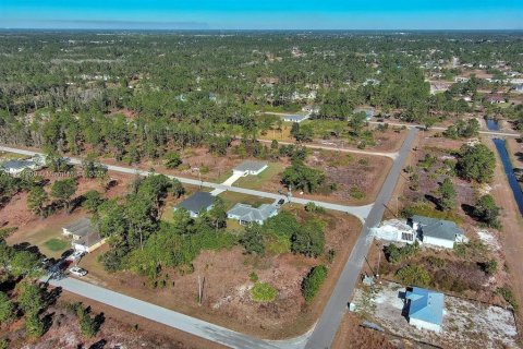 Land in Lehigh Acres, Florida № 2164296 - photo 10
