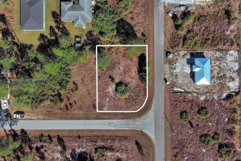 Land in Lehigh Acres, Florida № 2164296 - photo 2