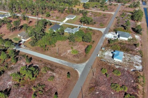 Land in Lehigh Acres, Florida № 2164296 - photo 12