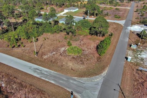 Land in Lehigh Acres, Florida № 2164296 - photo 8